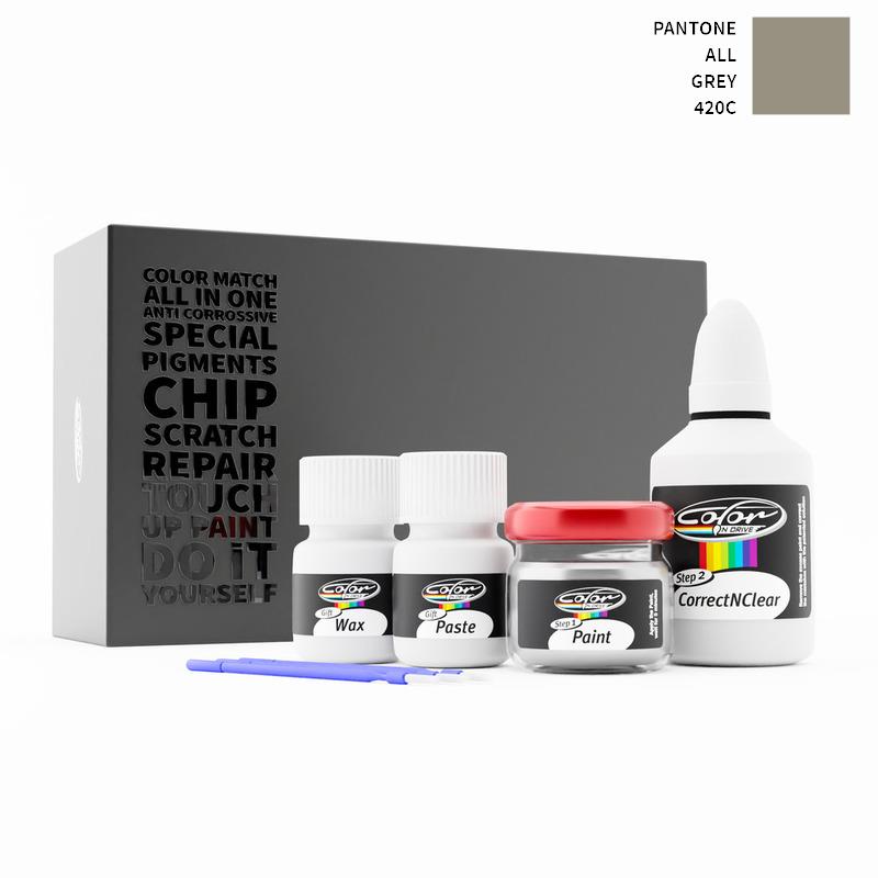 Pantone ALL Grey 420C Touch Up Paint