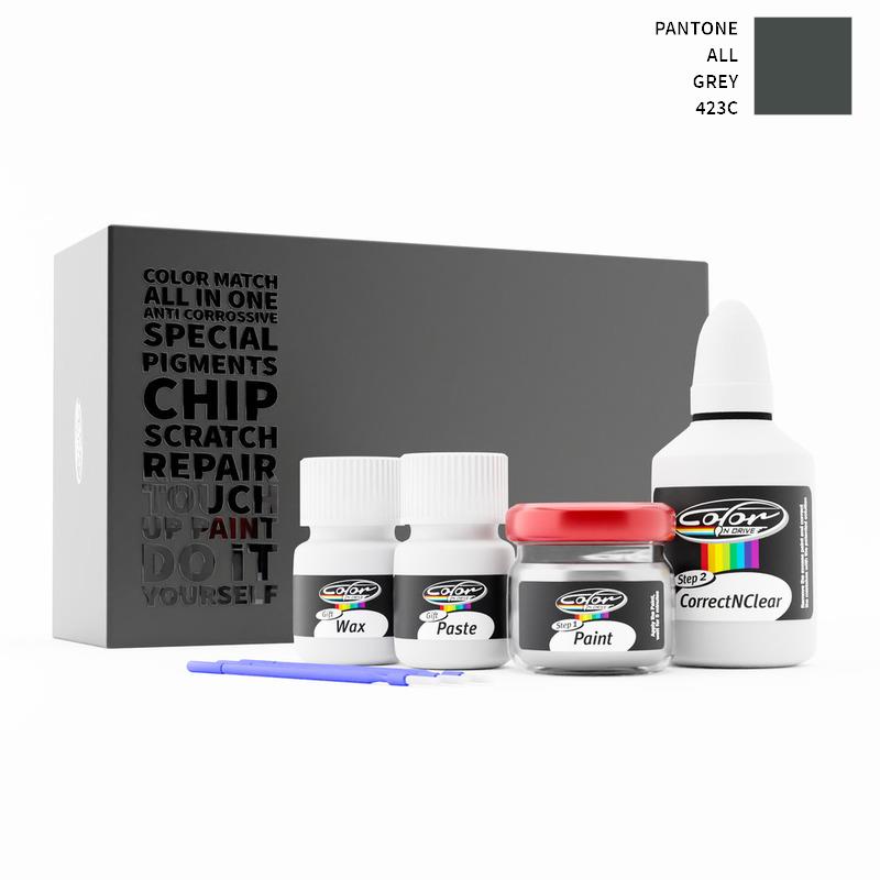 Pantone ALL Grey 423C Touch Up Paint