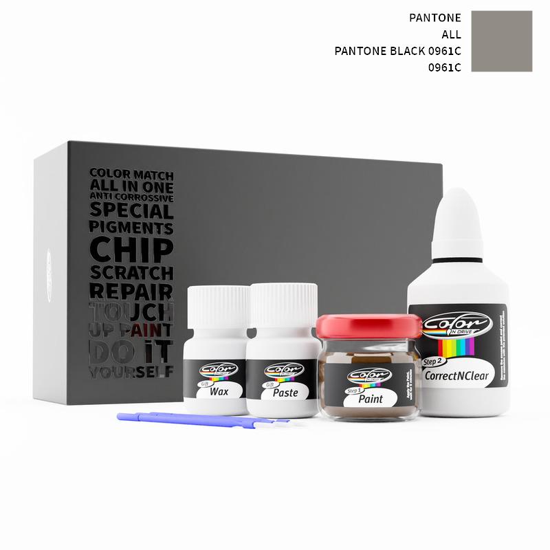 Pantone Touch Up Paint Kit