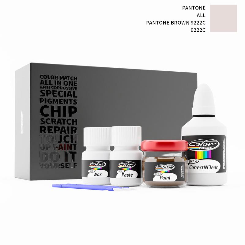 Pantone Touch Up Paint Kit