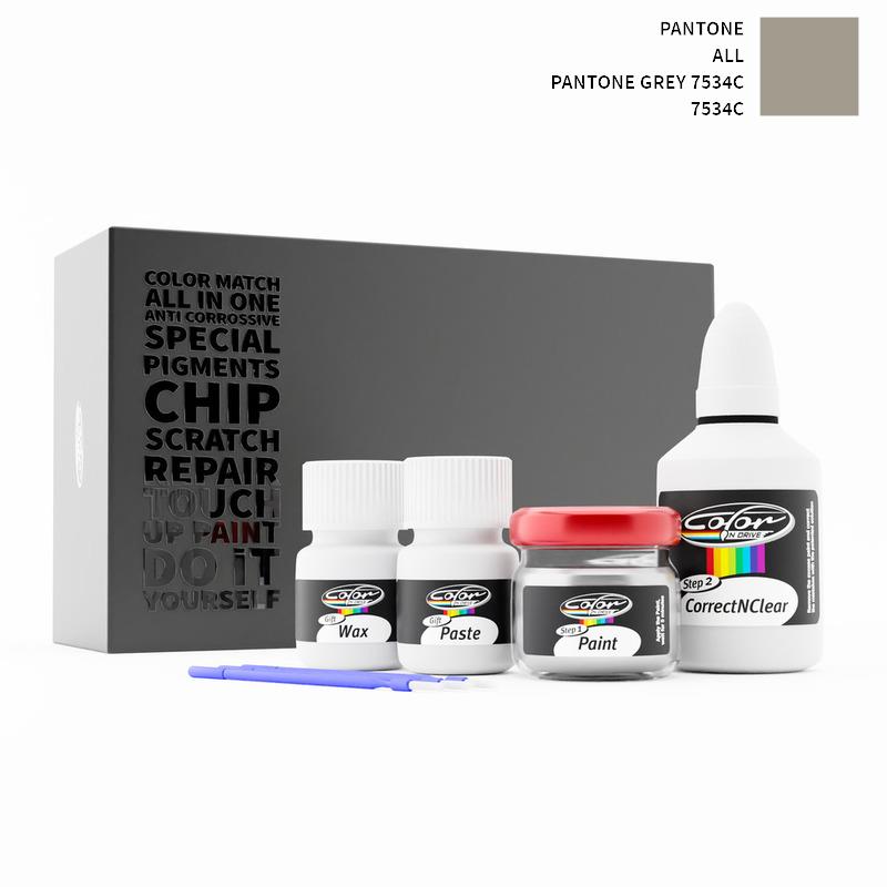 Pantone Touch Up Paint Kit