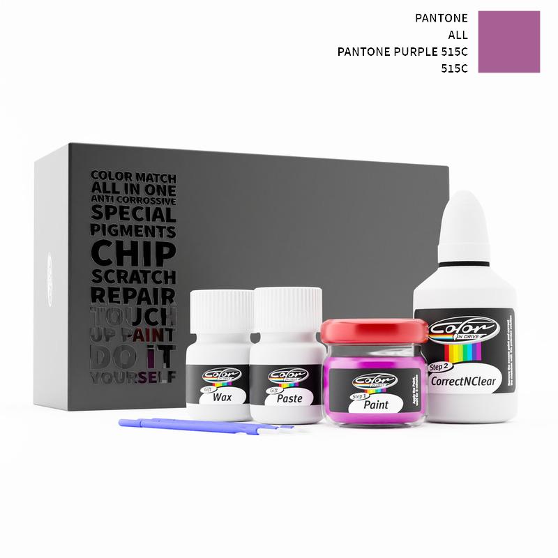 Pantone Touch Up Paint Kit