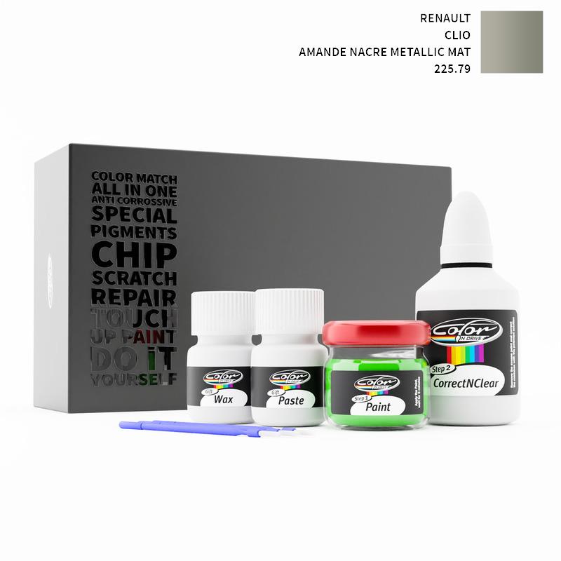 Renault Touch Up Paint Kit
