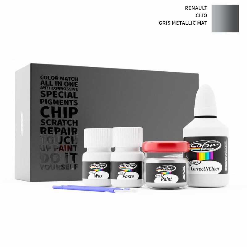Renault Touch Up Paint Kit