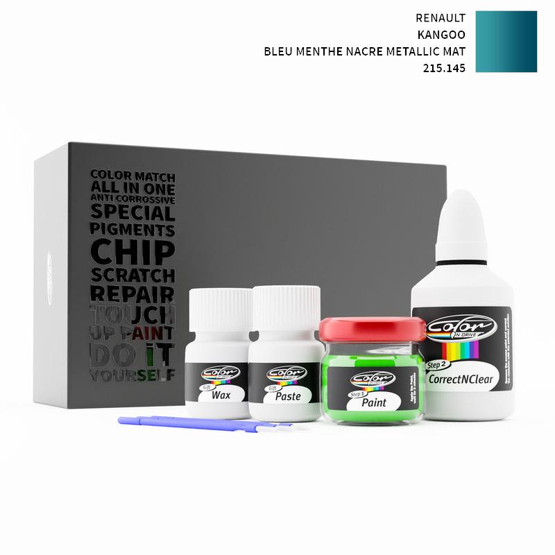 Renault Touch Up Paint Kit