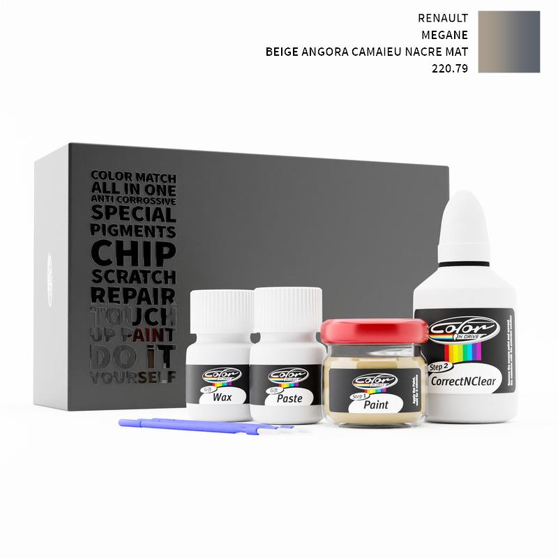 Renault Touch Up Paint Kit