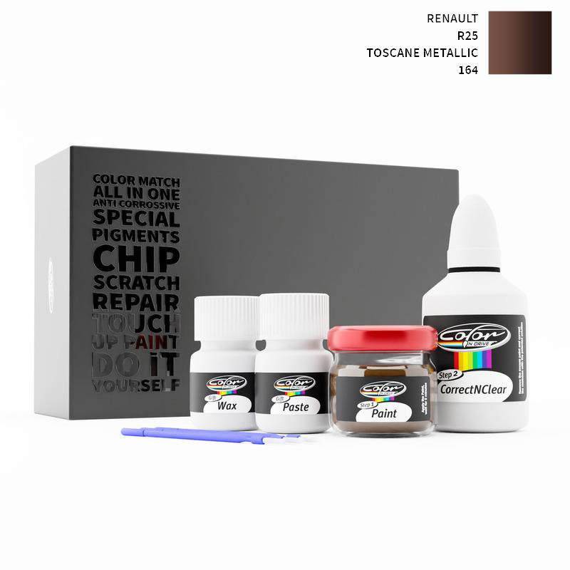 Renault Touch Up Paint Kit