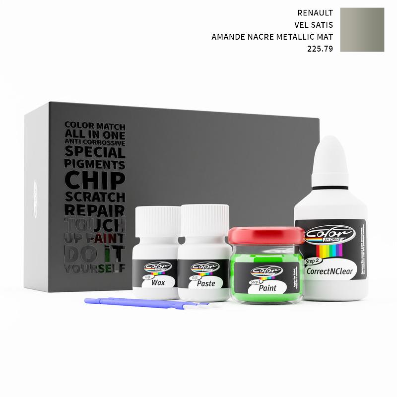 Renault Touch Up Paint Kit