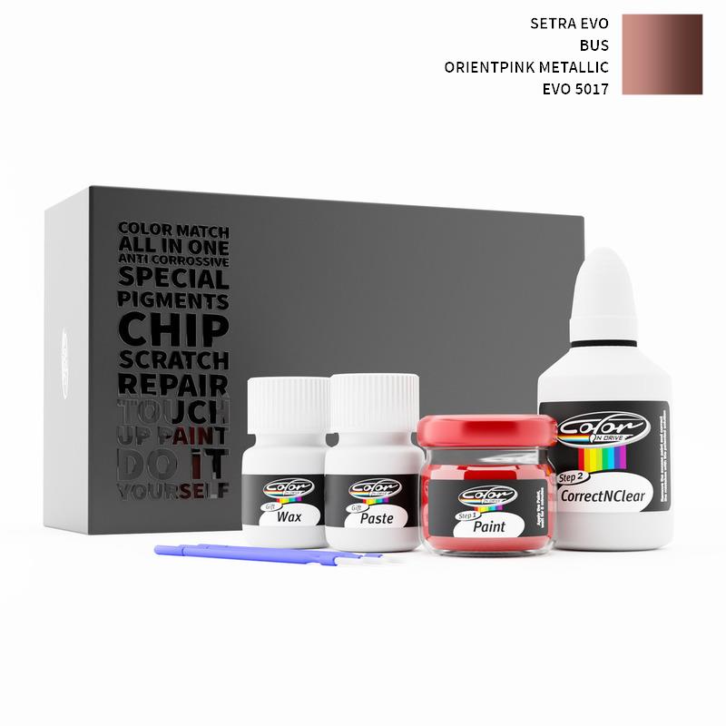Setra Evo BUS Orientpink Metallic EVO 5017 Touch Up Paint
