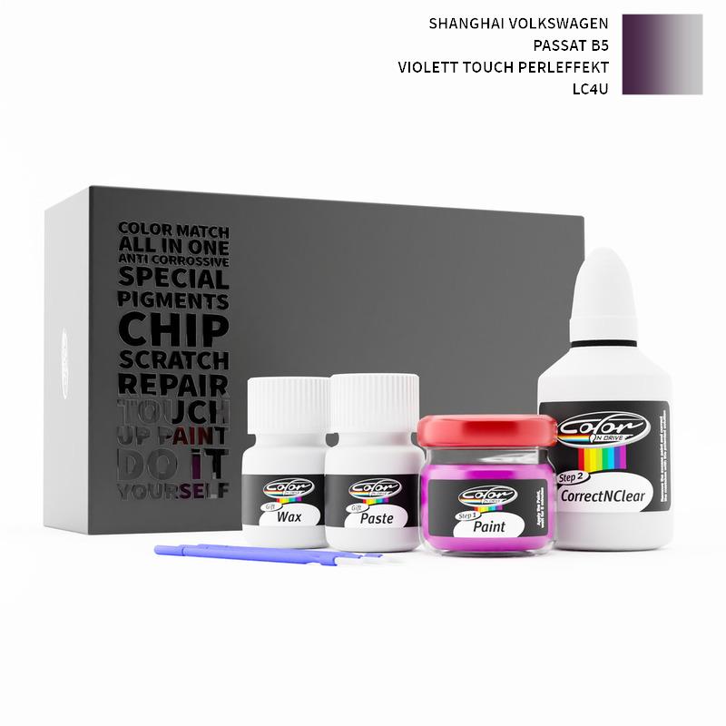 Shanghai Volkswagen Touch Up Paint Kit