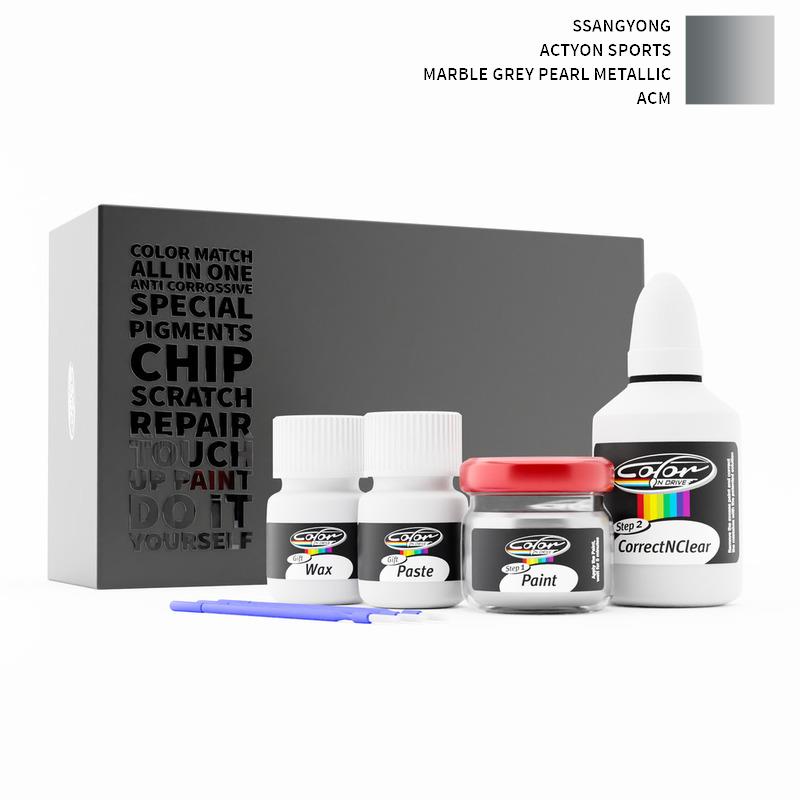 Ssangyong Touch Up Paint Kit