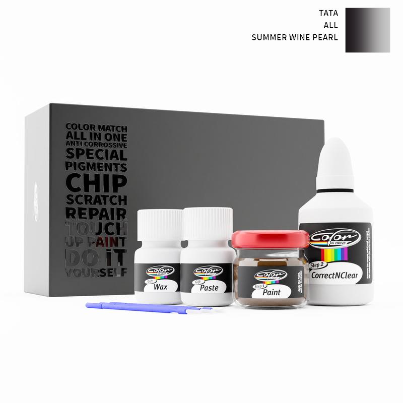 Tata Touch Up Paint Kit