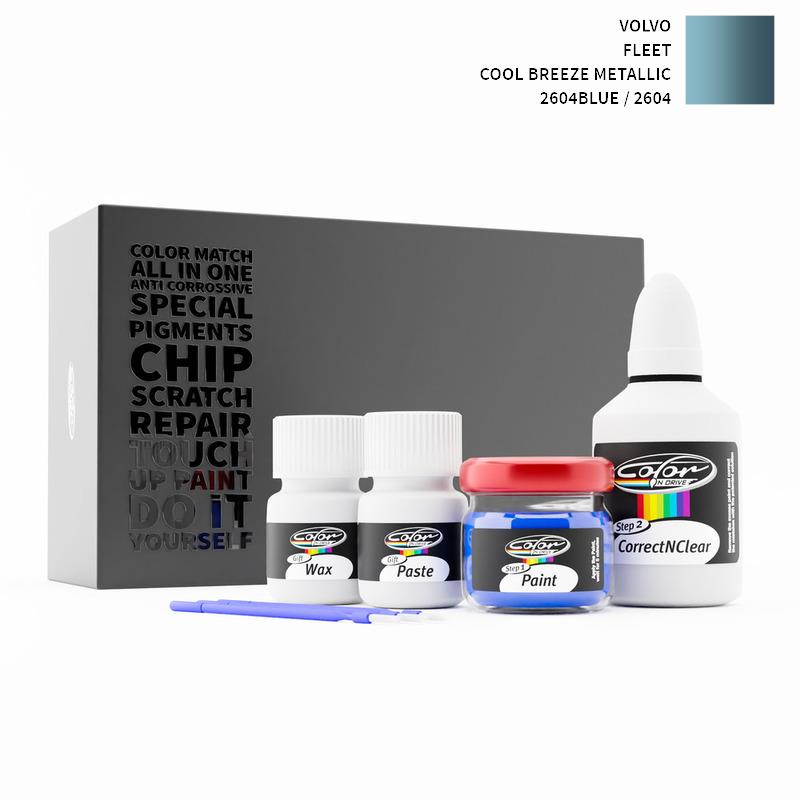 Volvo Touch Up Paint Kit