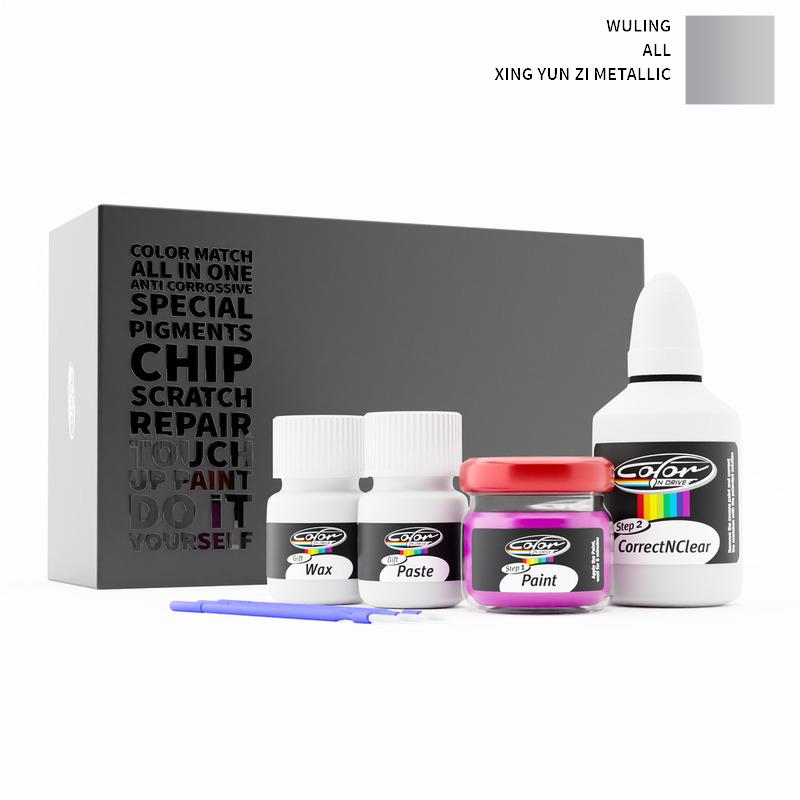 Wuling Touch Up Paint Kit